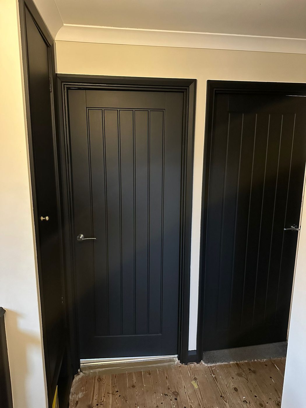 Black painted interior doors